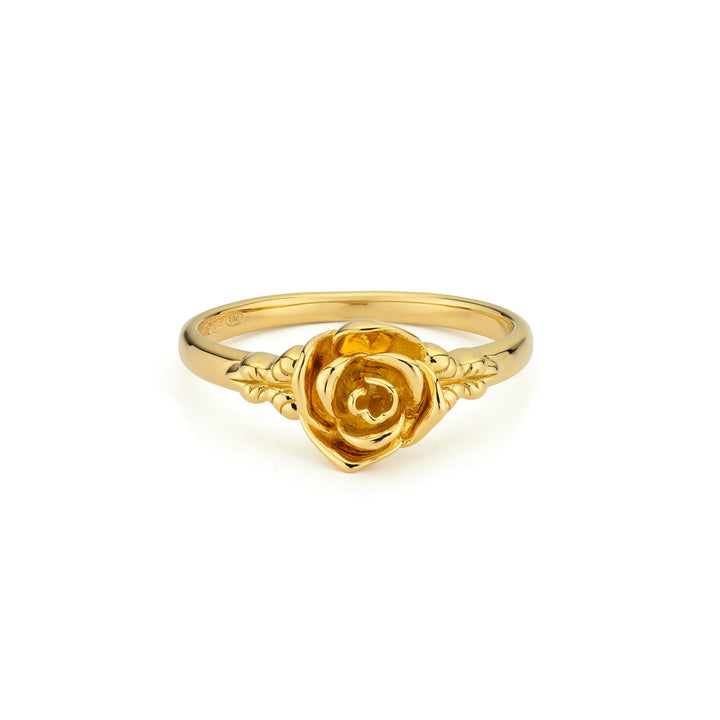 Eternal rose ring - 124135Y
