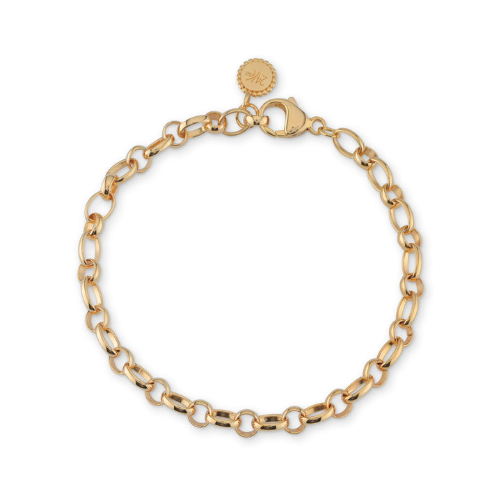 Klassieke schakelarmband - 22432Y